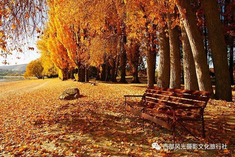 山东兴建三州五会,王重阳定下回终南山的归期!悟道第2