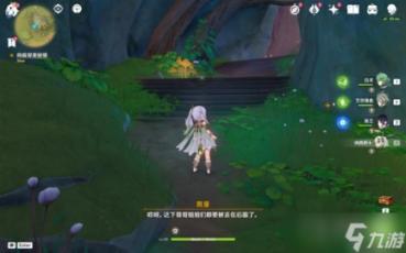 幻兽帕鲁的捕捉奥秘：帕鲁球的获取与进化之路