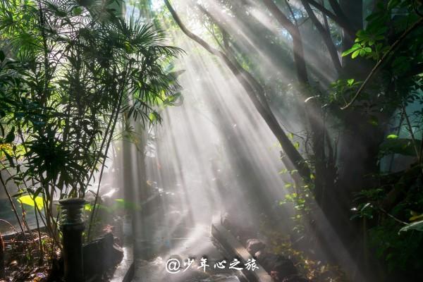 增加减少英语-专业知识问答网页,精准解答你的疑惑