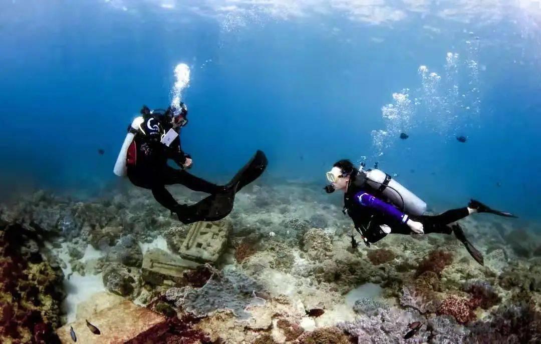海底世界填颜色4