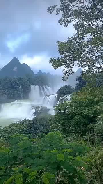 山西7旬老人进山采药,悬崖下获得“鬼见愁”,做成拐杖2万不卖