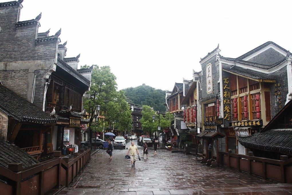 破碎的动物图形2