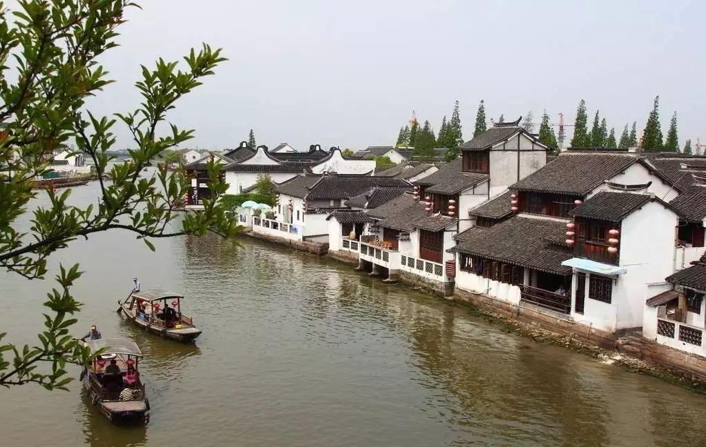 缤纷水果茶