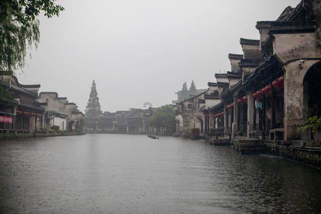 春雨直播app